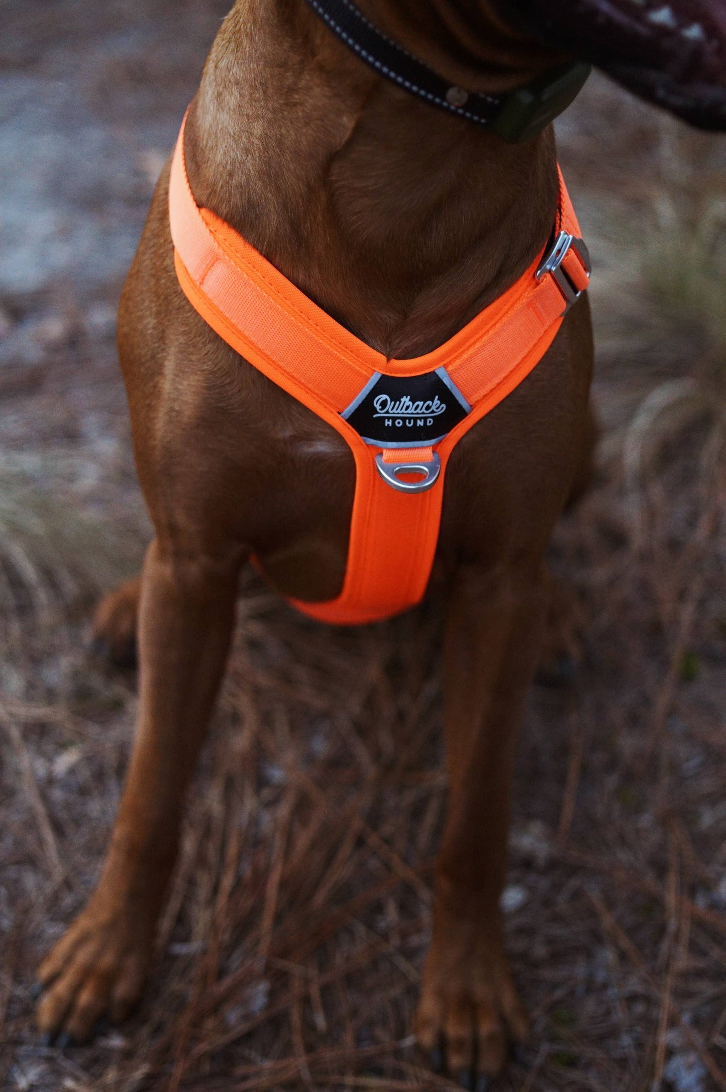 Hunter Orange - Ultra Lite Comfort Harness